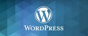 移除WordPress的短链接shortlink,防止重复收录-LyleSeo