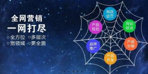 干货：外贸网络营销策略与成功要素-LyleSeo