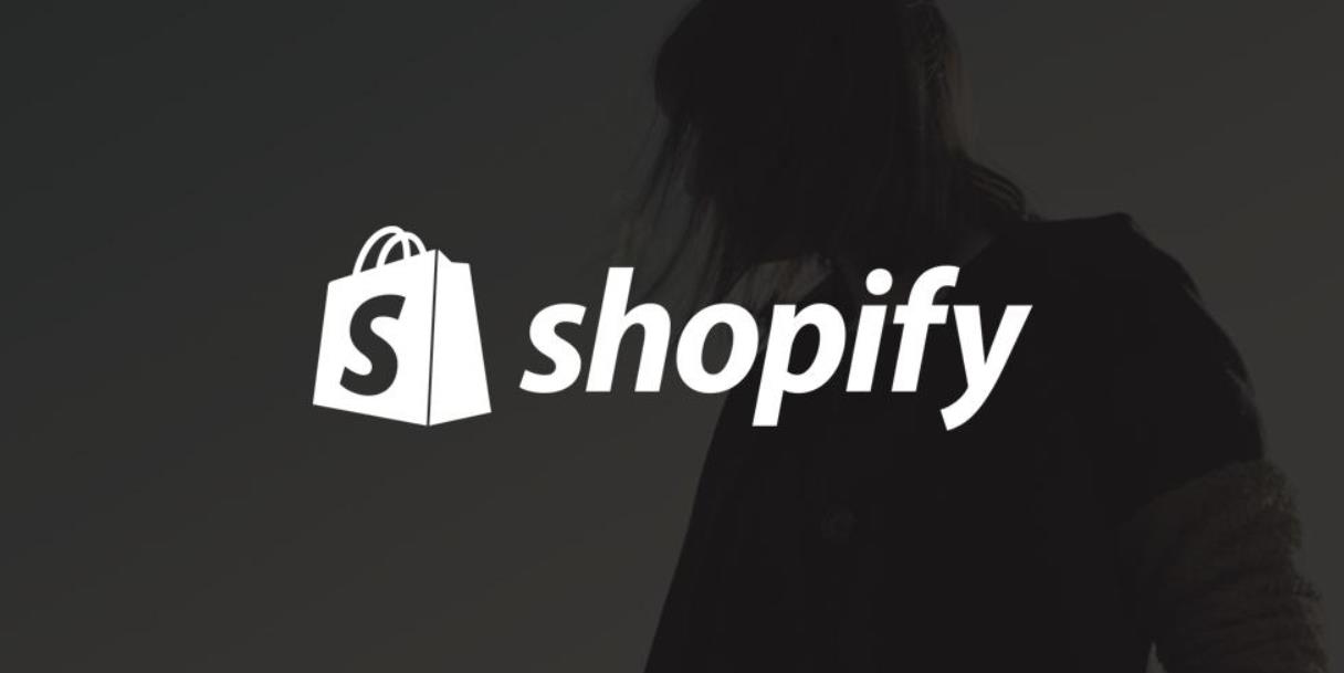 Shopify 实用插件合集-LyleSeo