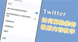Twitter怎么取消敏感内容？-LyleSeo
