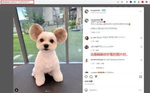 Instagram（ins）怎么保存照片/视频？-LyleSeo