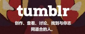 2023年最新Tumblr(汤不热)账号注册教程-LyleSeo