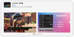 YouTube 双字幕 外挂神器-LyleSeo