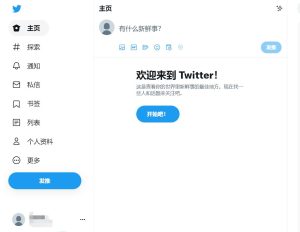 推特Twitter网页版登录入口(附登录教程)-LyleSeo