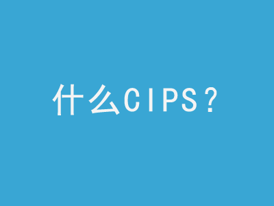什么是CIPS？关于CIPS详细讲解-LyleSeo
