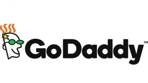 Godaddy域名解析教程 （2023年最新图文详解）-LyleSeo