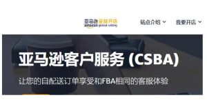 什么是亚马逊CSBA?收费与优势有哪些?-LyleSeo