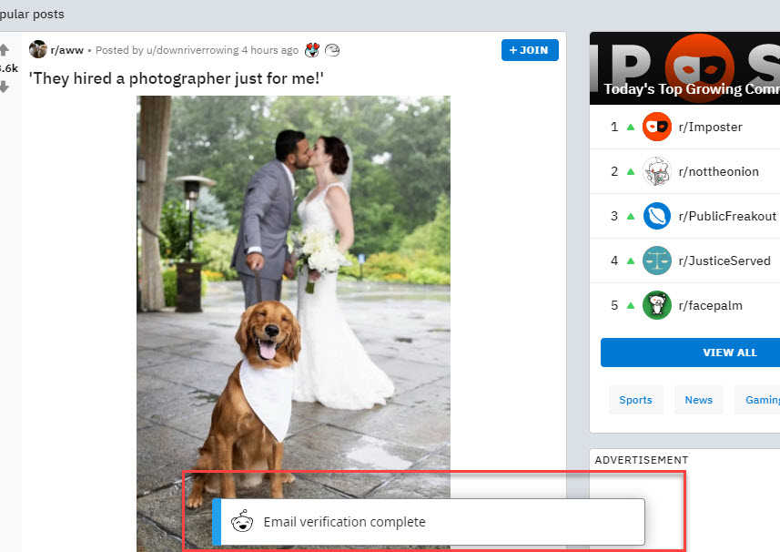 Reddit是个啥?如何注册Reddit社区,详细步骤图解