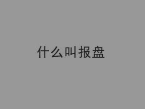 报盘是什么意思？ 报盘有几种类型？-LyleSeo