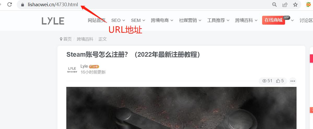 图片[2]-Url是什么意思啊？-LyleSeo