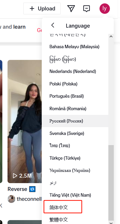 Tiktok中文版网页设置