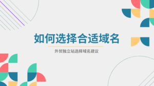 外贸独立站如何选择好的域名?-LyleSeo