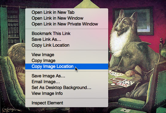 图片[4]-谷歌搜图 Google Image Search 谷歌图片搜索识图-LyleSeo